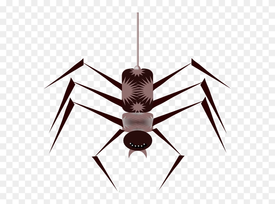 Bug Spider Png Transparent Clipart