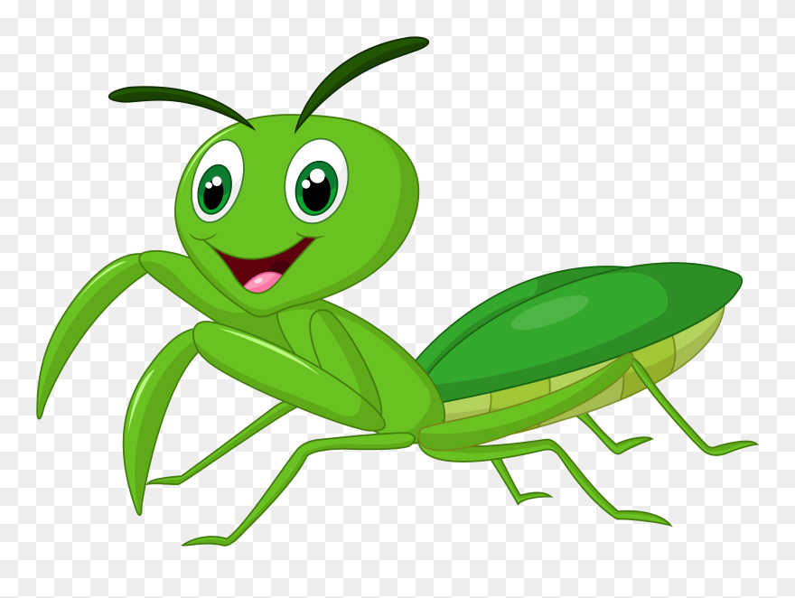 Mantis Religiosa Dibujo Animado Clipart
