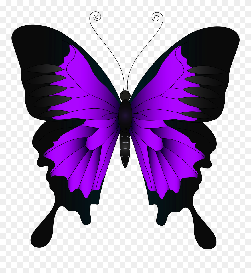 Purple Butterfly Png Clip Art Image - Pink Butterfly Clip Art Transparent Png