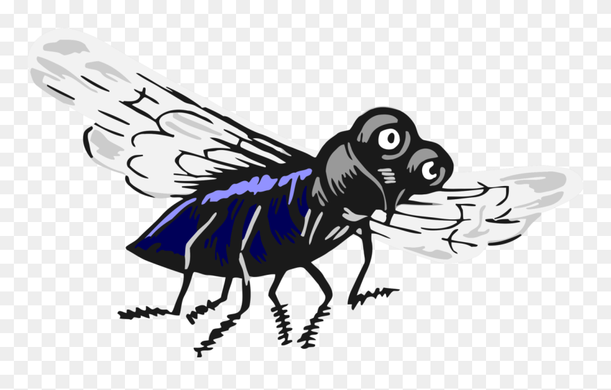 Fly,carpenter Bee,cartoon - Fly Flying Clipart - Png Download