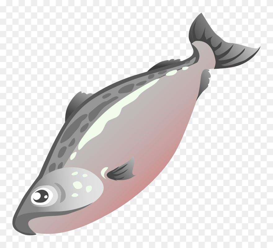 Fish Clipart Salmon - Salmon Clipart Png Transparent Png