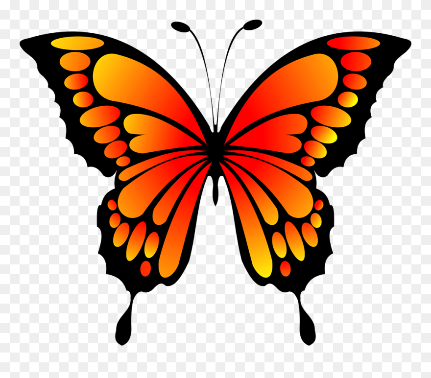 Download Orange And Black Butterfly Image Butterfly Svg Free Clipart