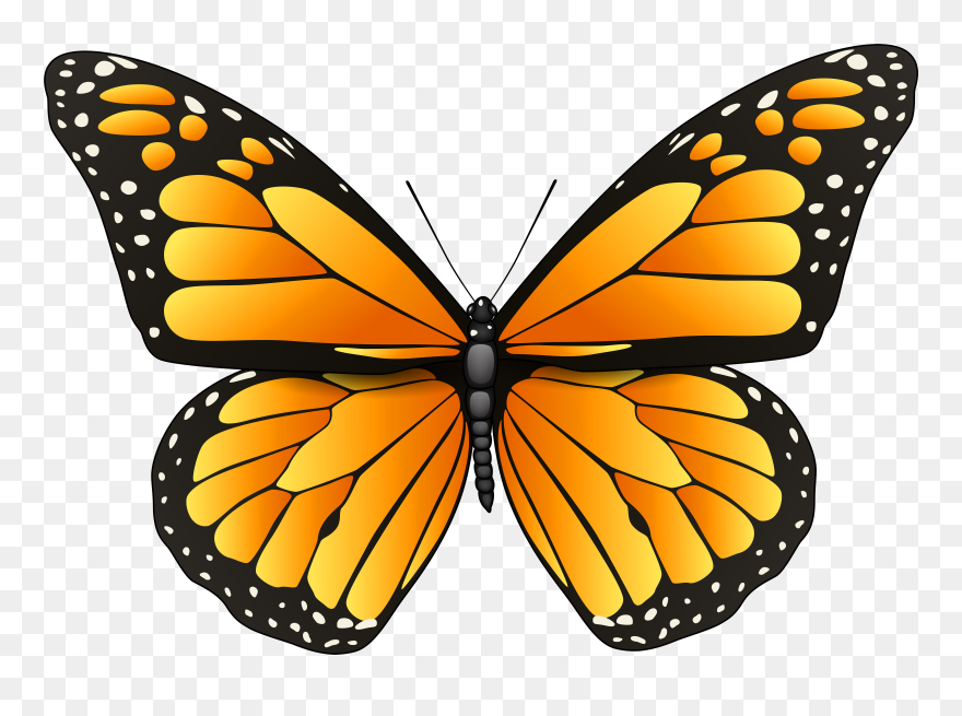 Orange Butterfly Png Clip Art - Clipart Butterfly Png Transparent Png