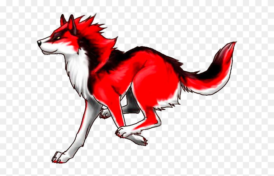 Gray Wolf Red Wolf Drawing Clip Art Pupp - Black White And Red Wolf - Png Download