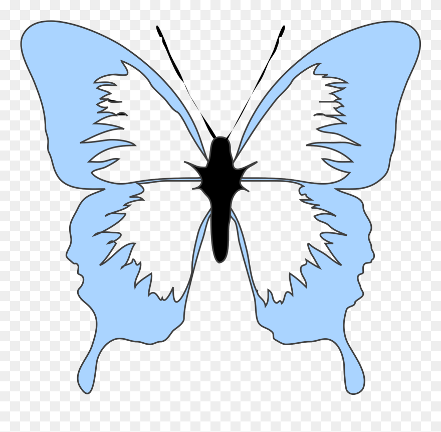 Clip Art At Clker - Pink Black And White Butterfly - Png Download