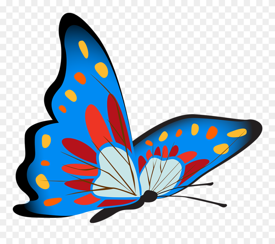 Vibrant Blue Butterfly Image - Butterflies Clipart - Png Download