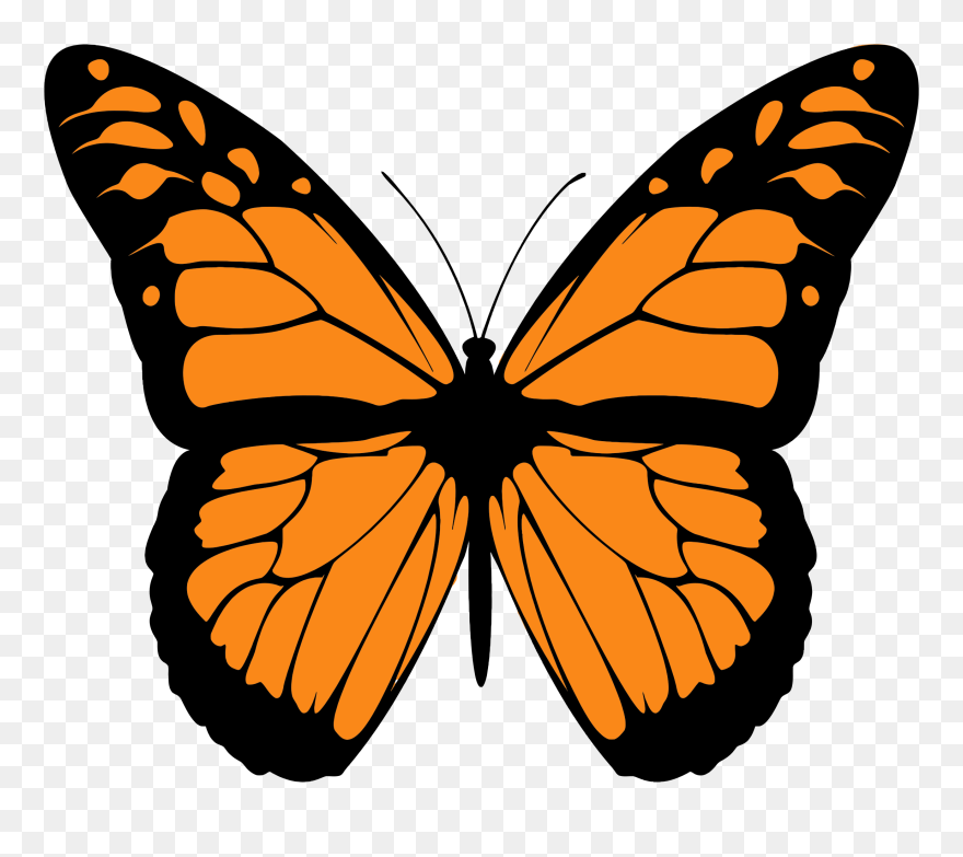 Monarch Butterfly Clipart Trail - Monarch Butterfly Clipart - Png Download
