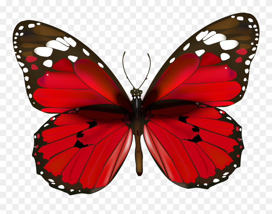 Butterfly Red Clip Art - Red Butterfly Png Transparent