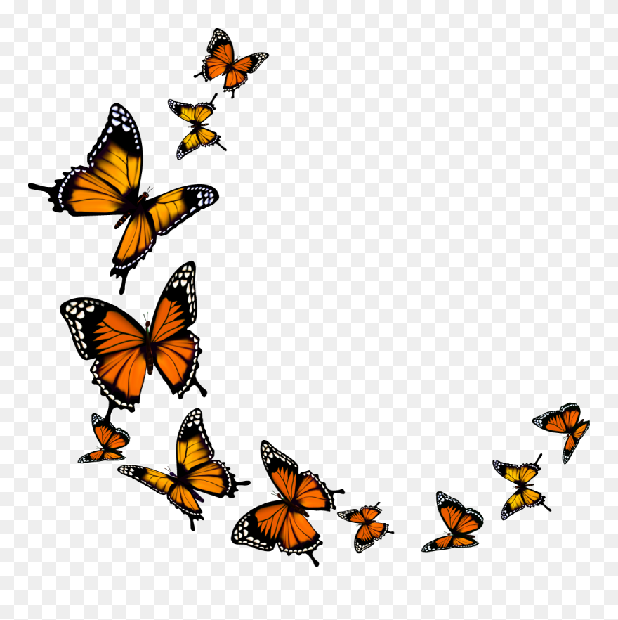Monarch Butterfly - Transparent Background Butterfly Png Clipart