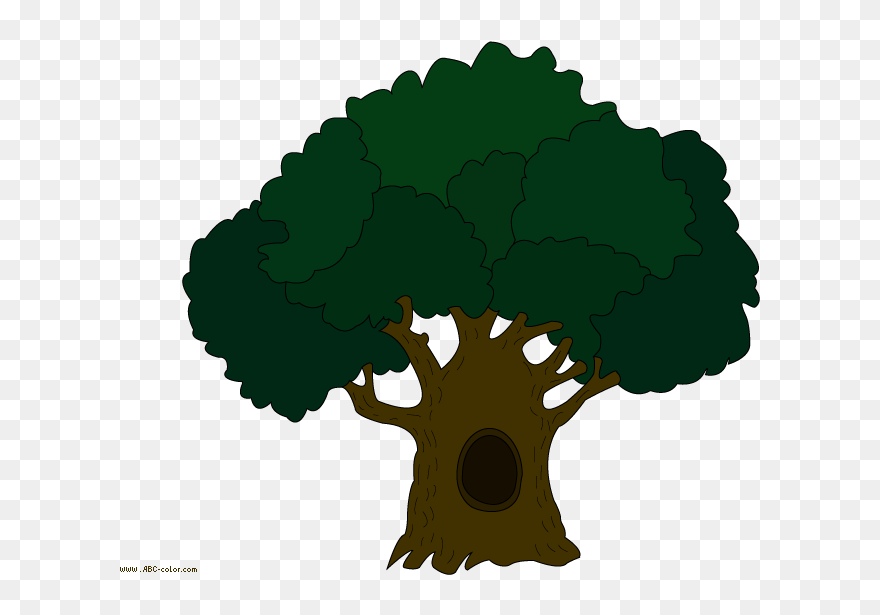 Clipart Of Oak Tree Graphic Free Stock Free Oak Tree - Png Download