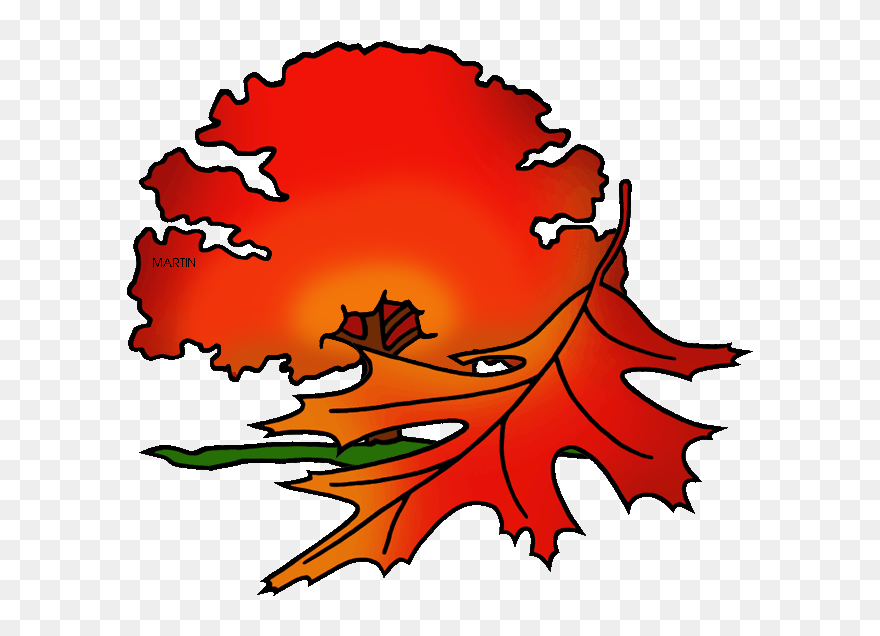 Resume Clipart Red Oak Tree - New Jersey State Tree Leaf - Png Download