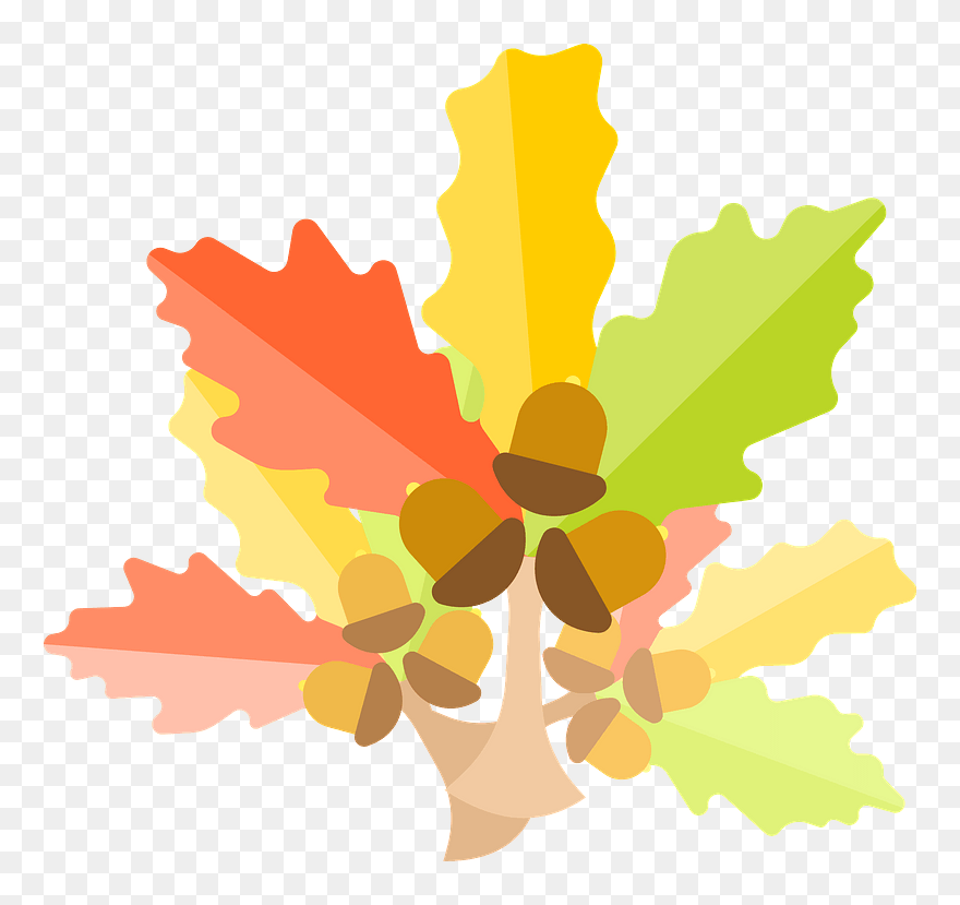 Oak Tree Leaves Clipart - Png Download