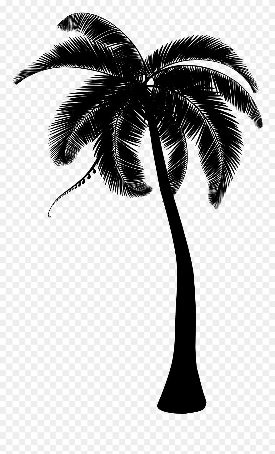 Palm Trees Coconut Clip Art Portable Network Graphics - Transparent Background Palm Tree - Png Download