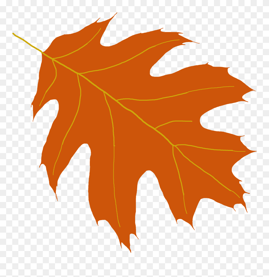 Oak Tree Leaf Clipart Vector Free Library Oak Tree - Oak - Png Download