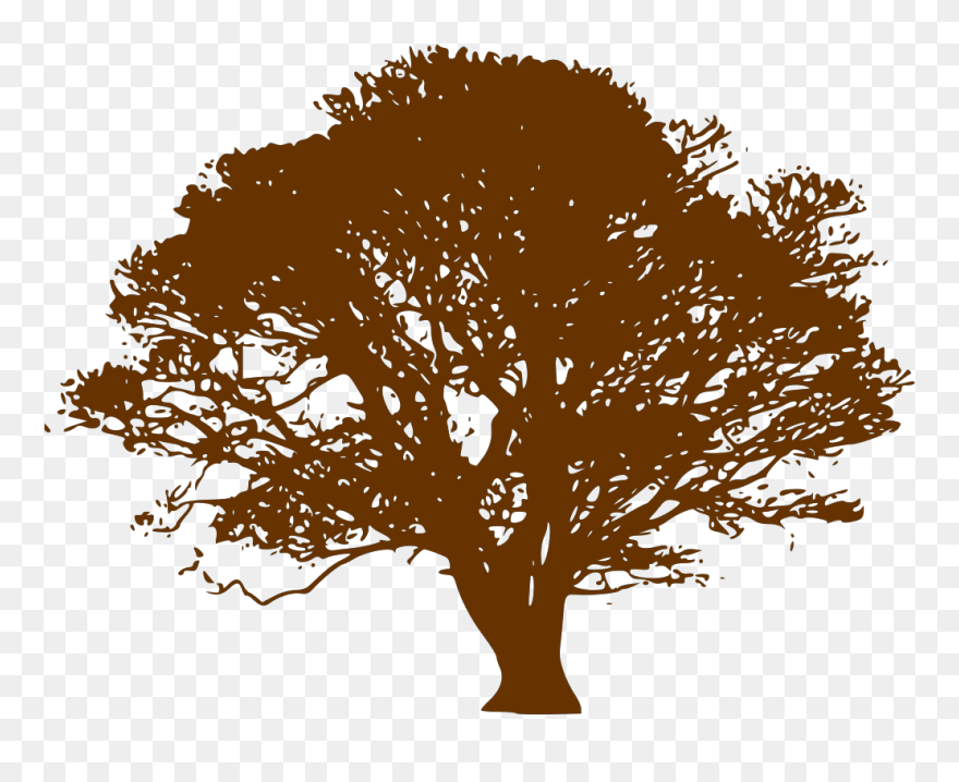 Tree Vector Art Png Clipart