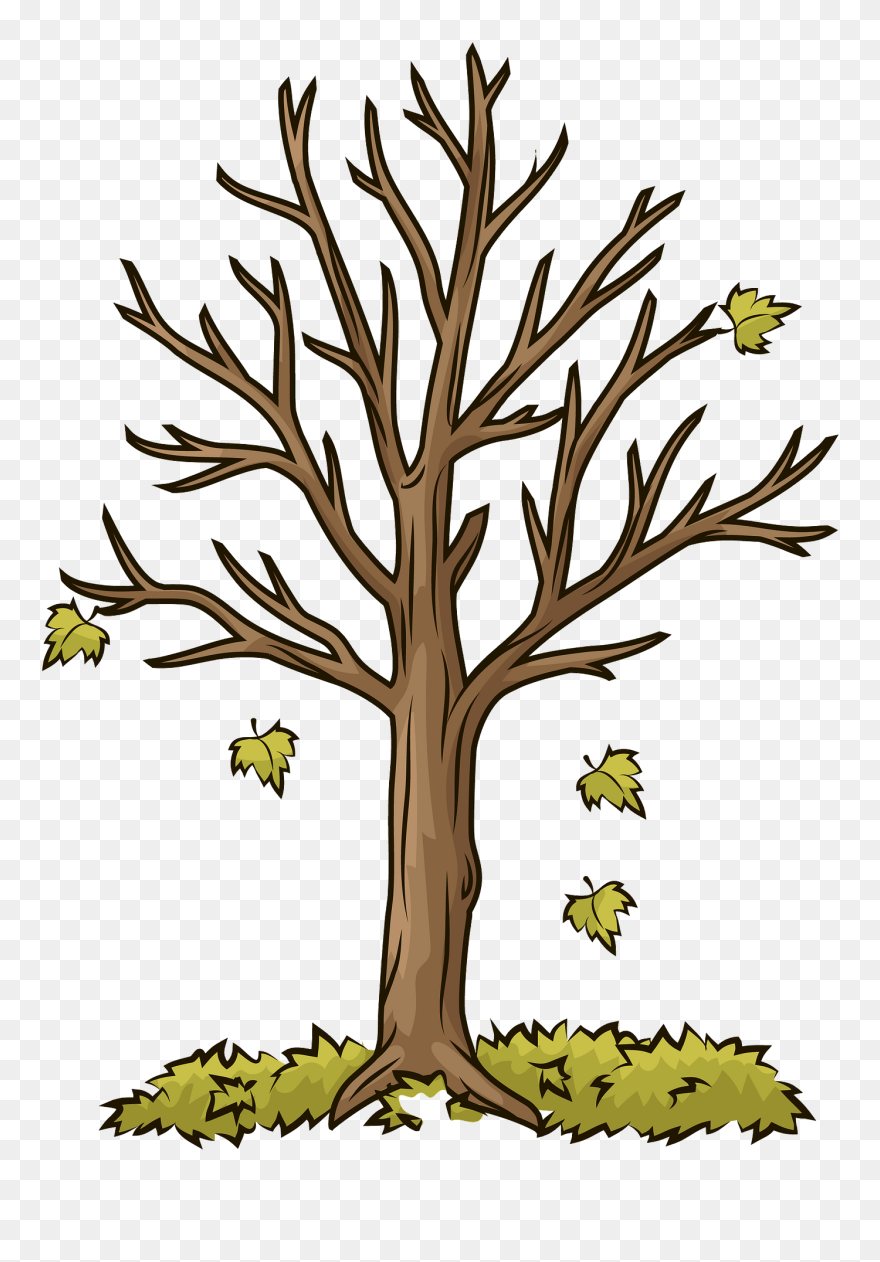Autumn Tree Clipart - Dibujo Arbol De Otoño - Png Download