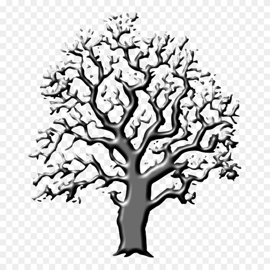 Oak Tree Png Clip Arts - Trees Black And White Transparent Png