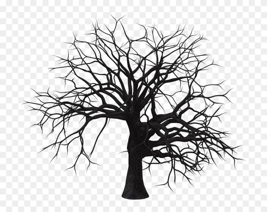 Dead Tree Clipart Dry Tree - Dry Tree Images Png Transparent Png