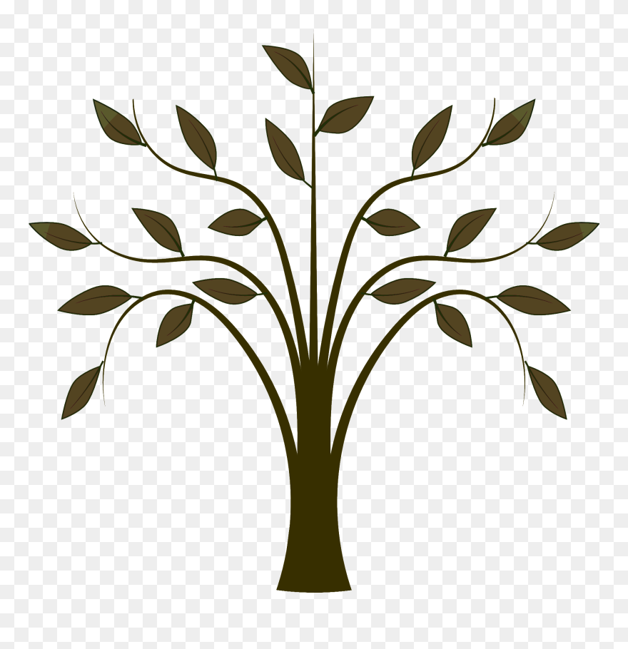 Clipart Trees Animation, Clipart Trees Animation Transparent - Tree With Leaf Drawing - Png Download
