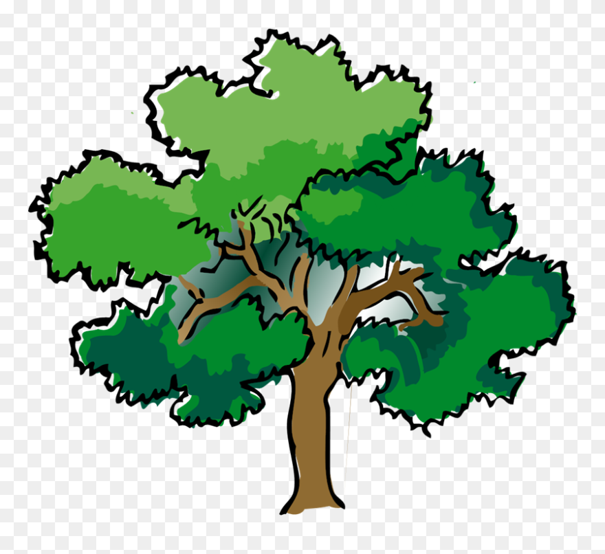 Tree Drawing With Color Clipart
