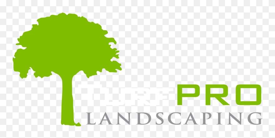Transparent Landscaping Clipart Tree - Turf Pro Landscaping Logo - Png Download