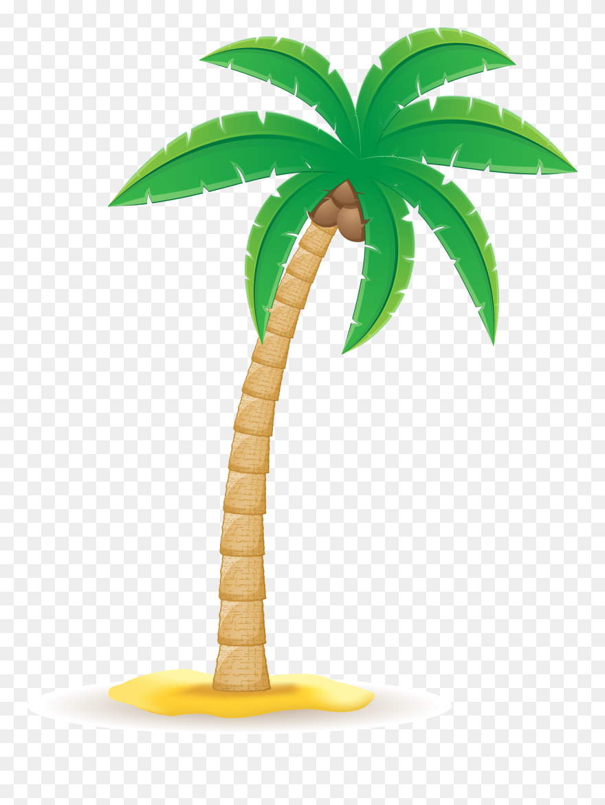 Coconut Arecaceae Clip Art - Clip Art Coconut Tree Png Transparent Png