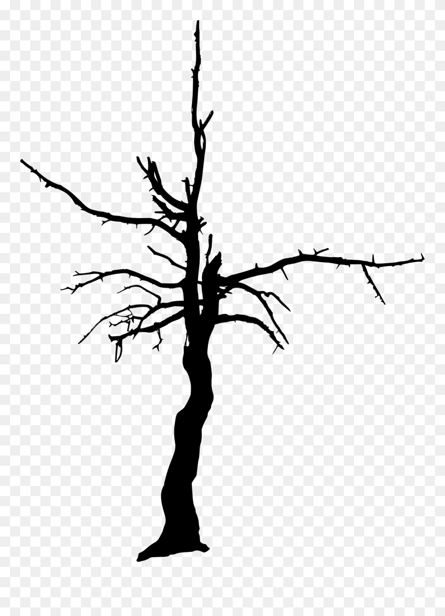 Tree Woody Plant Clip Art - Transparent Background Dry Tree Png