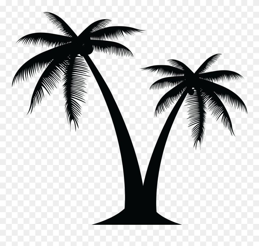 Arecaceae Tree Clip Art - Vector Palm Tree Png Transparent Png