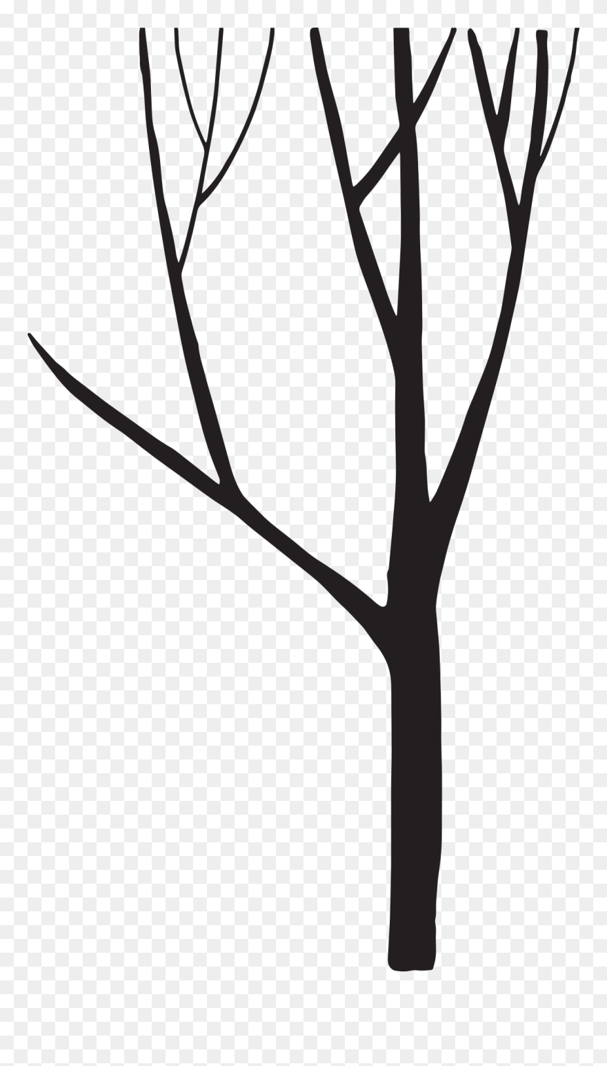 Black And White Silhouette Tree - รูป ต้นไม้ เงา สี ดำ Clipart
