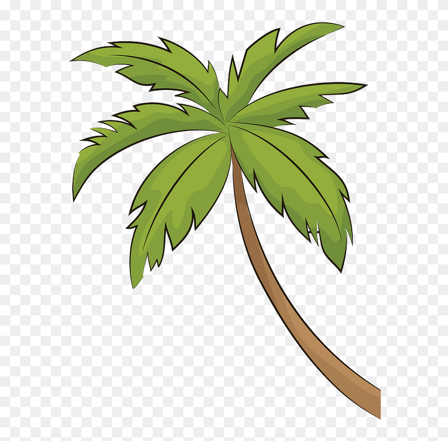 Palm Tree Clipart - Palm Tree - Png Download