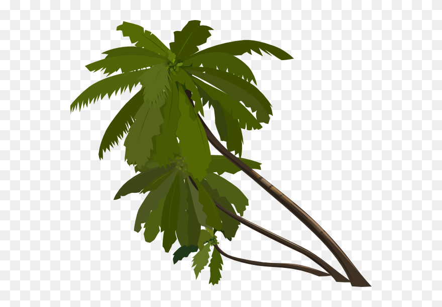 Free Vector Palm Tree Clip Art - Jungle Tree Cartoon Png Transparent Png