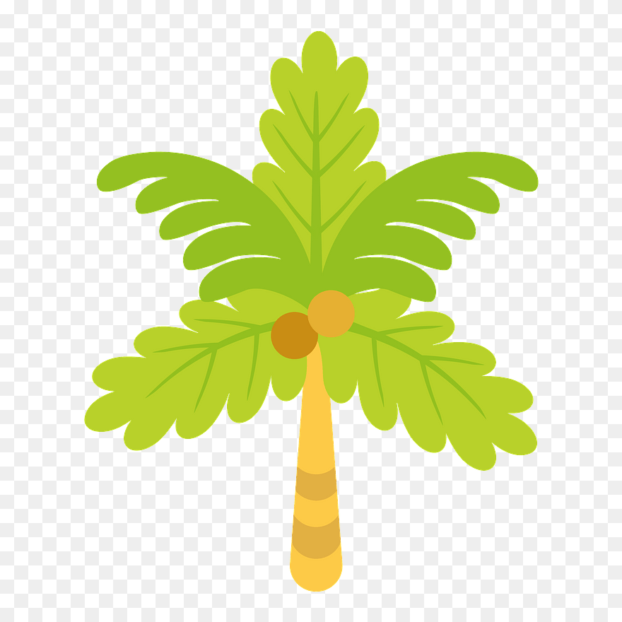 Palm Tree Clipart - Illustration - Png Download