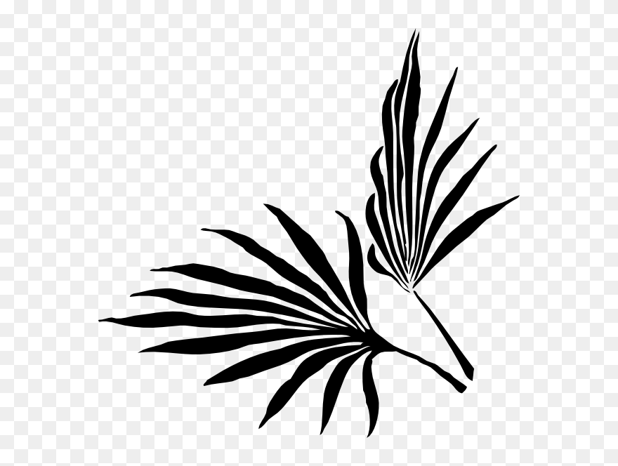 Palm Leaf Clip Art At Clker - Palm Frond Clip Art - Png Download