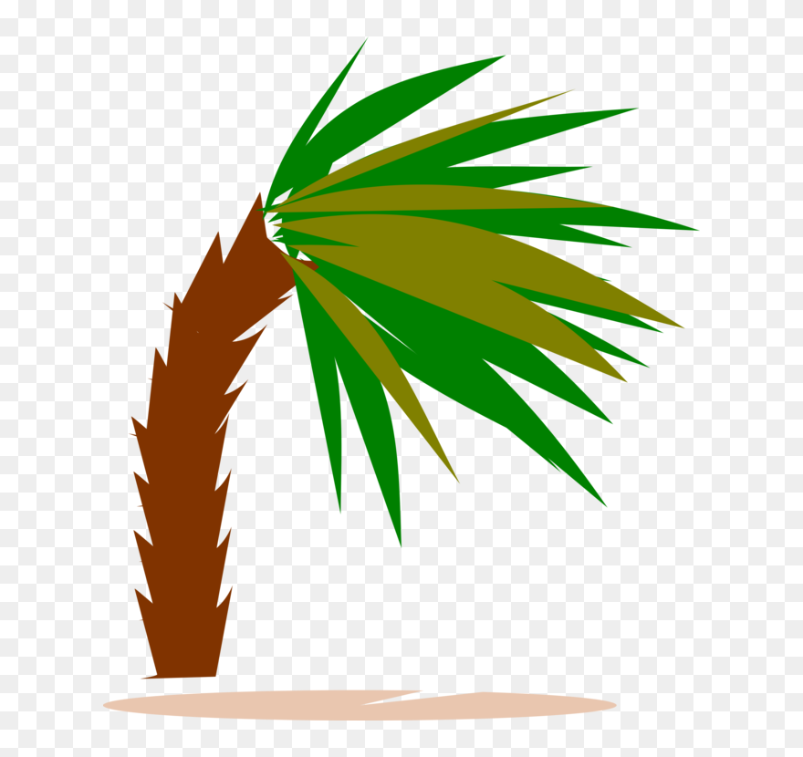 Palmtree Clipart