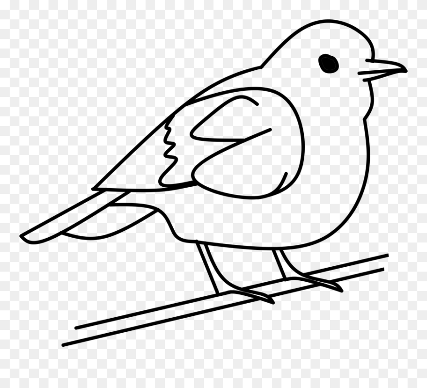 Bird Tree Out Line Free Vector Graphic On Pixabay With - Clip Art Black And White Bird - Png Download