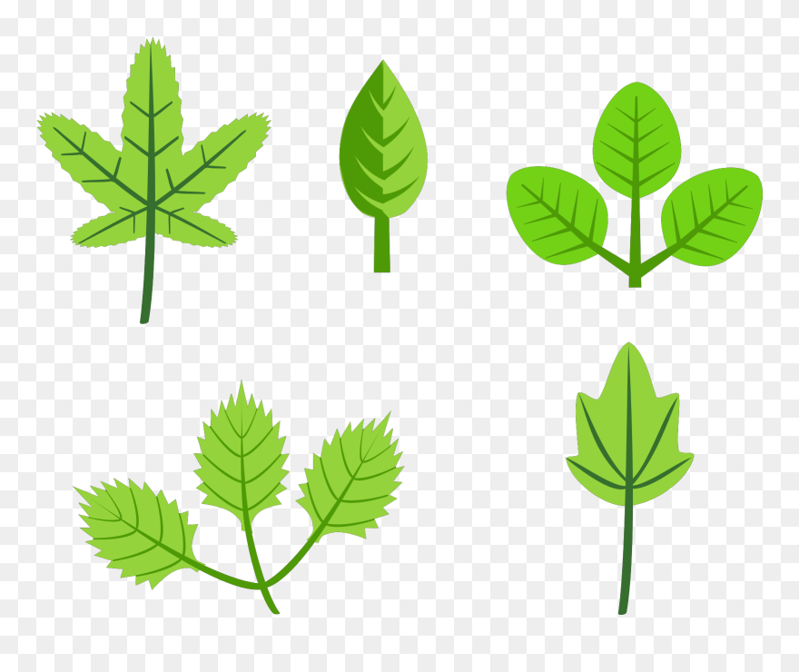 Fall Leaves Fall Leaf Clip Art Vectors Download Free - Leaves Clip Art - Png Download