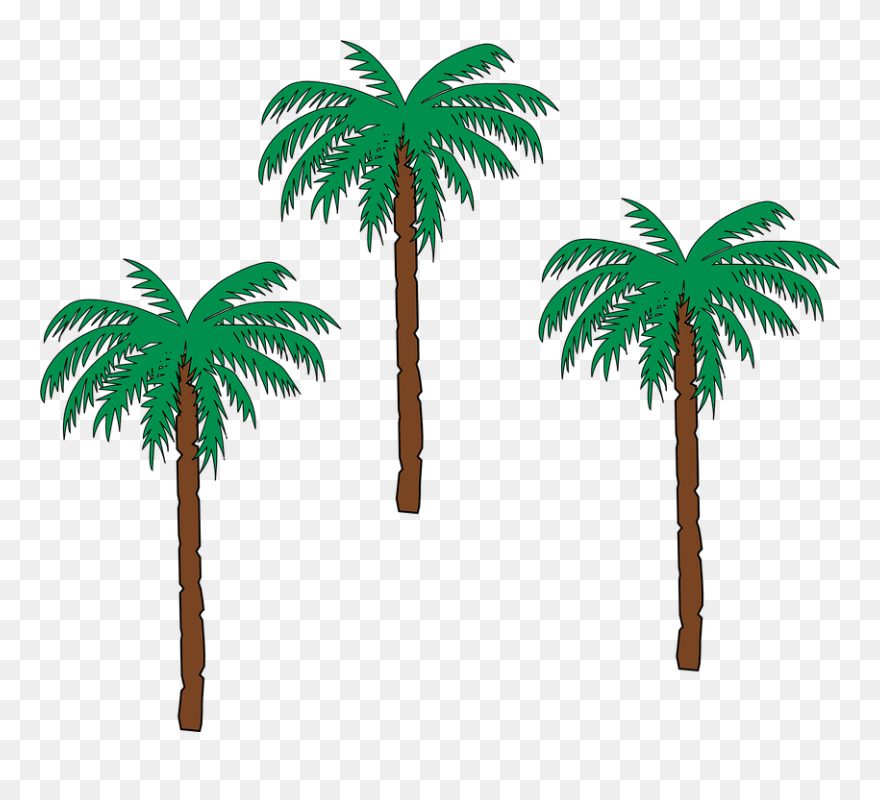 Trees Clip Art At - Pom Trees - Png Download