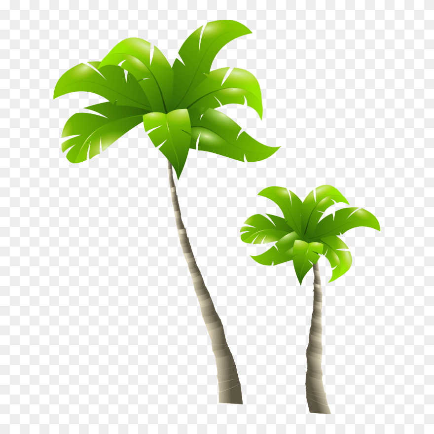 Tropical Palm Trees Clipart Free Clip Art Image Image - Tall And Short Clipart - Png Download