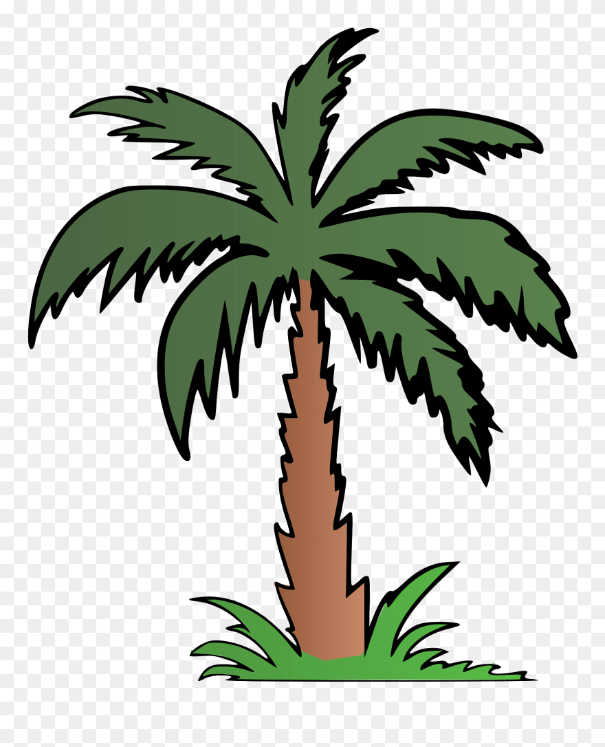 Palm Colour Clipart - Palm Tree Color Clip Art - Png Download
