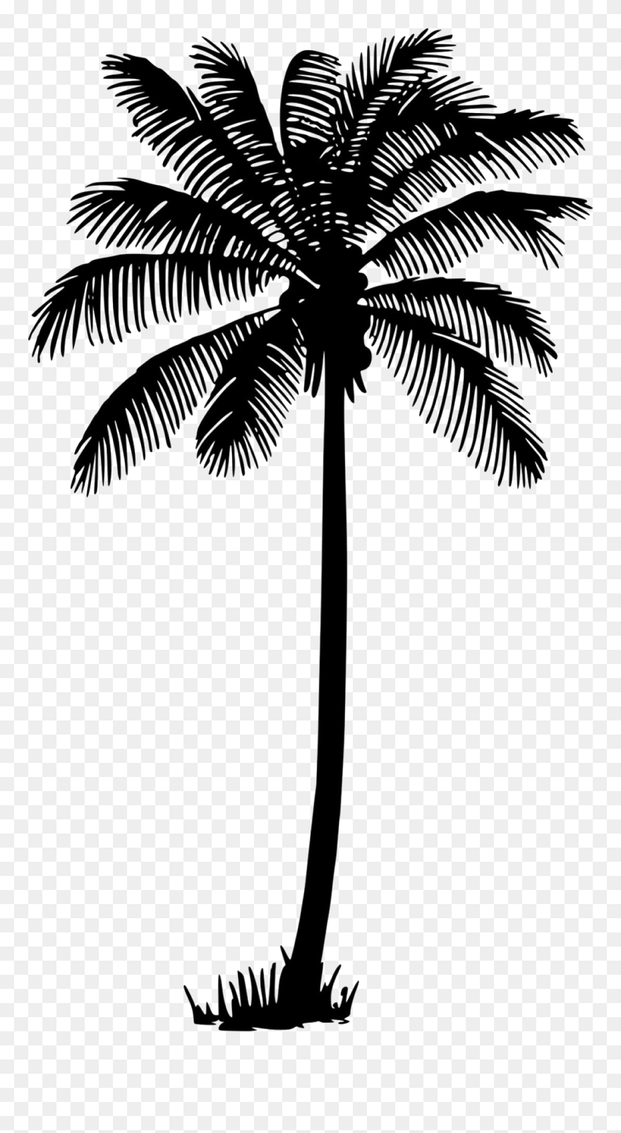 Palm Tree Vector Png Clipart