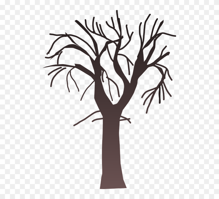 Trunk Clipart Barren Tree - Bare Tree Png Clipart Transparent Png