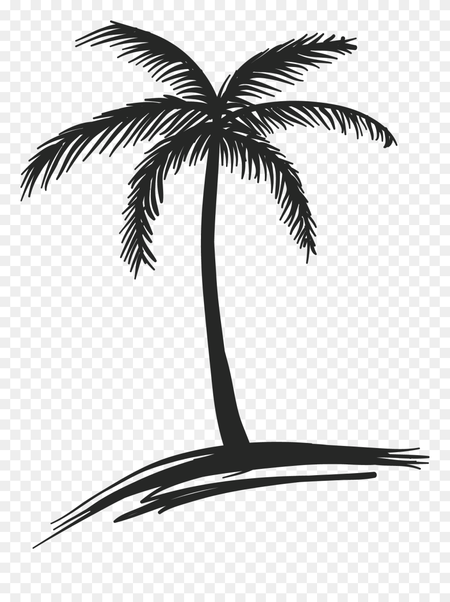 Coconut Tree Clipart Black And White Picture 28 Collection - Cute Palm Tree Drawing - Png Download