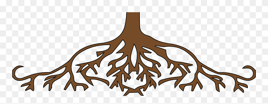 Fall Tree Clipart Free Graphic Transparent Roots Clipart - Roots Clipart - Png Download