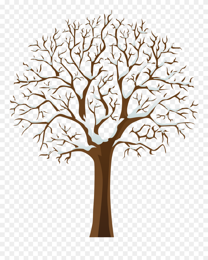 Tree In Winter Clipart - Png Download