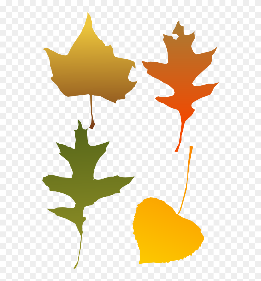Maple Autumn Svg Vector File, Vector Clip Art Svg File - Autumn Leaf Clip Art - Png Download