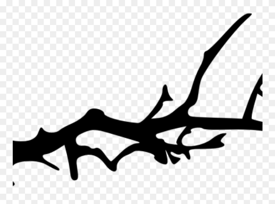 Branch Clipart Tree Branch Silhouette Clip Art At Getdrawings - Branch Of Tree Clipart Black And White - Png Download