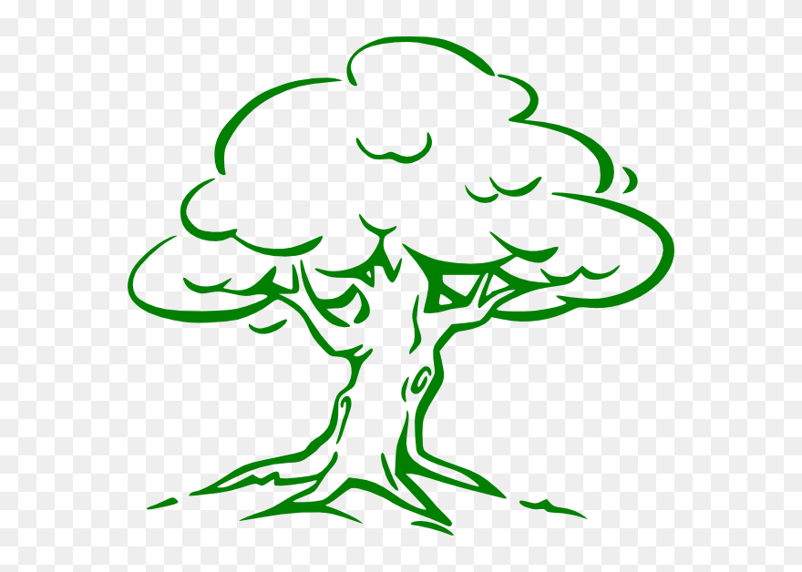 Green Oak Tree Clip Art - Cartoon Oak Tree Drawing - Png Download