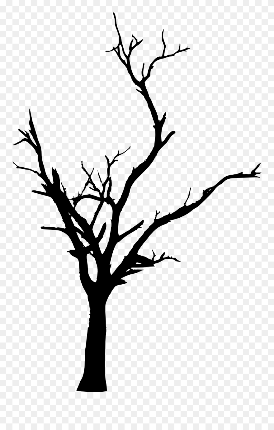 Tree Woody Plant Branch Twig Clip Art - Transparent Background Dead Trees Clipart - Png Download