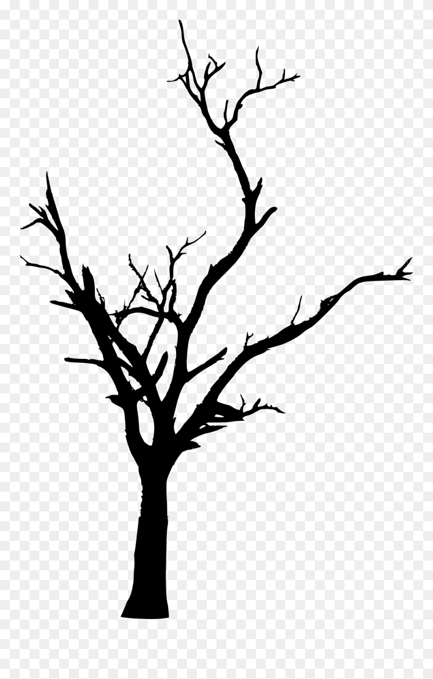 Tree Woody Plant Branch Twig Clip Art - Transparent Background Dead ...