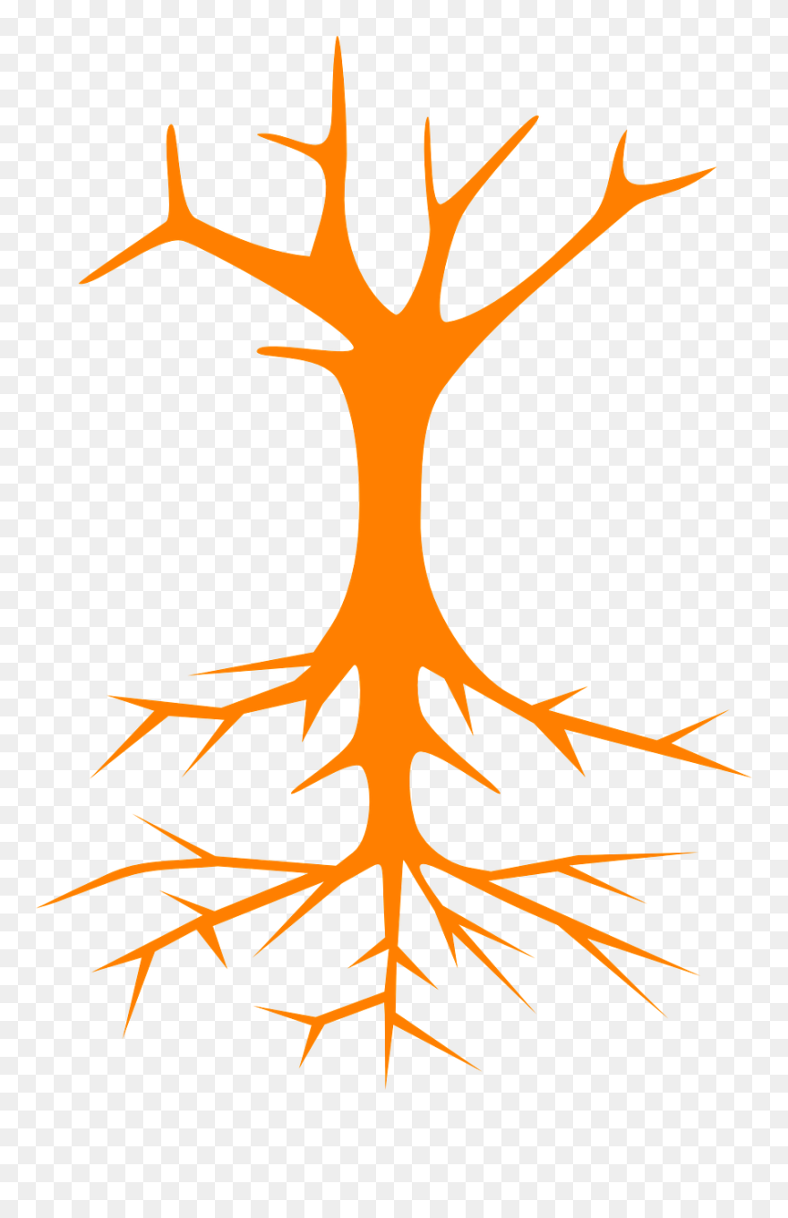 Tree Roots Stem Branches Naked Png Image - Roots Clip Art Png Transparent Png